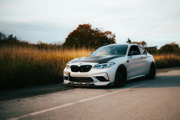 Top techniques for reducing shedding in double-coated dog breeds: a comprehensive guide